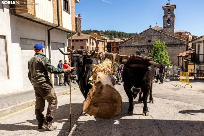 Pingada de Mayo San Leonardo 2023