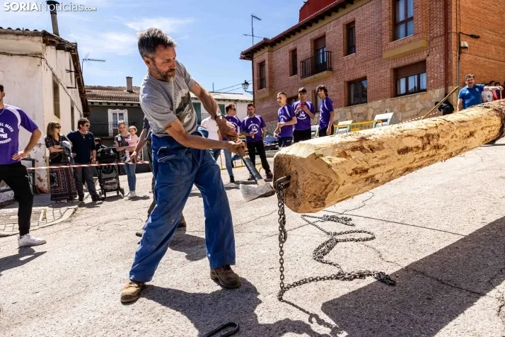 Pingada de Mayo San Leonardo 2023