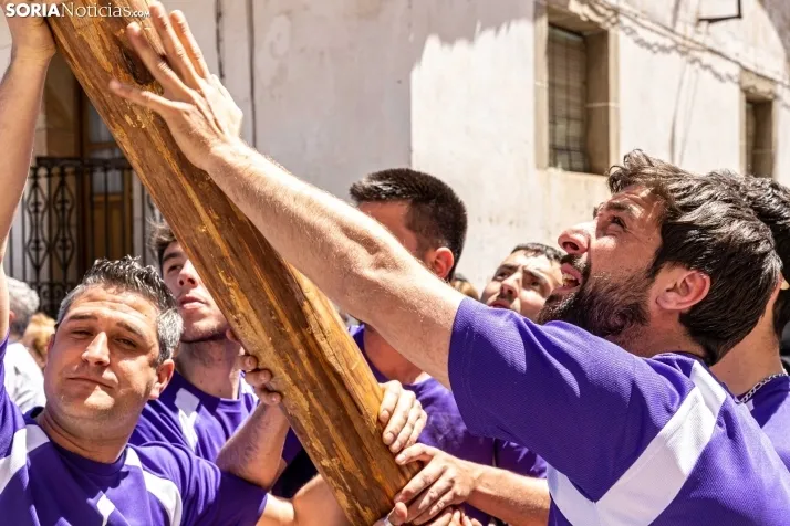 Pingada de Mayo San Leonardo 2023