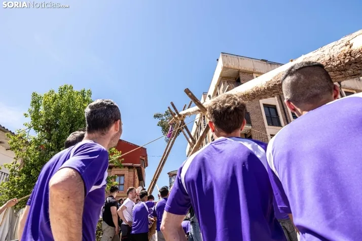 Pingada de Mayo San Leonardo 2023