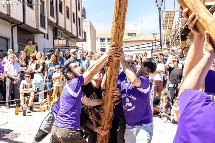 Pingada de Mayo San Leonardo 2023