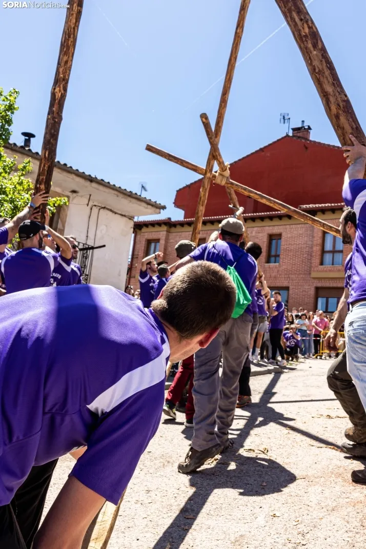 Pingada de Mayo San Leonardo 2023