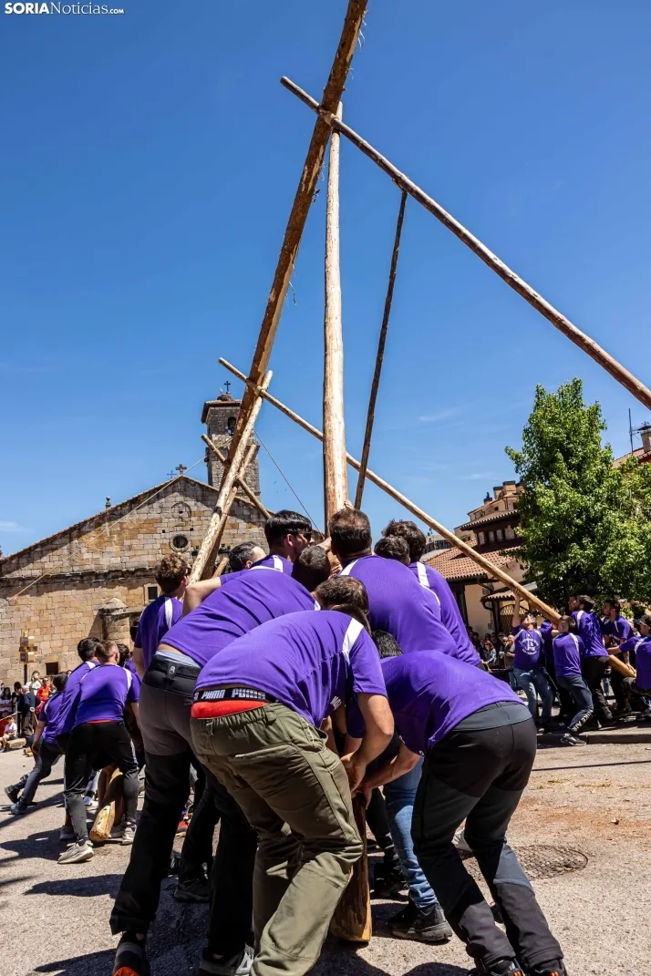 Pingada de Mayo San Leonardo 2023