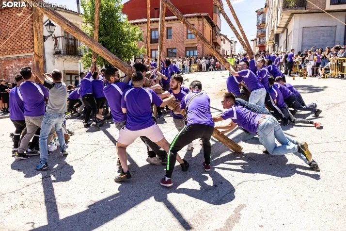 Pingada de Mayo San Leonardo 2023
