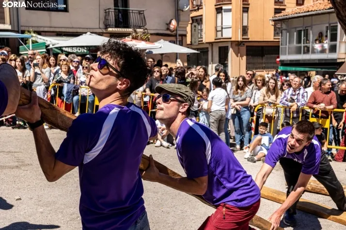 Pingada de Mayo San Leonardo 2023