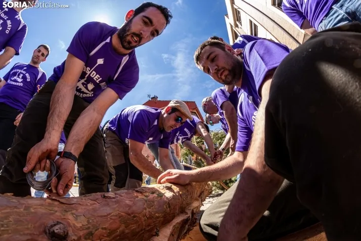 Pingada de Mayo San Leonardo 2023