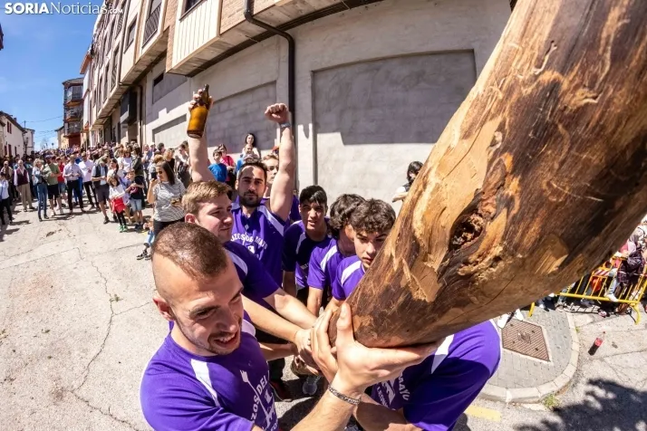 Pingada de Mayo San Leonardo 2023