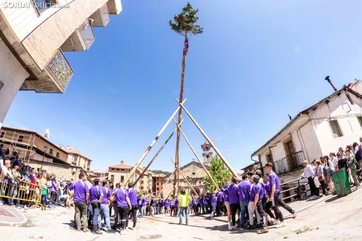Pingada de Mayo San Leonardo 2023