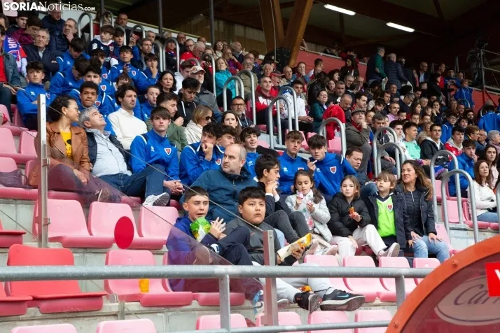 El Numancia desciende a 2RFEF