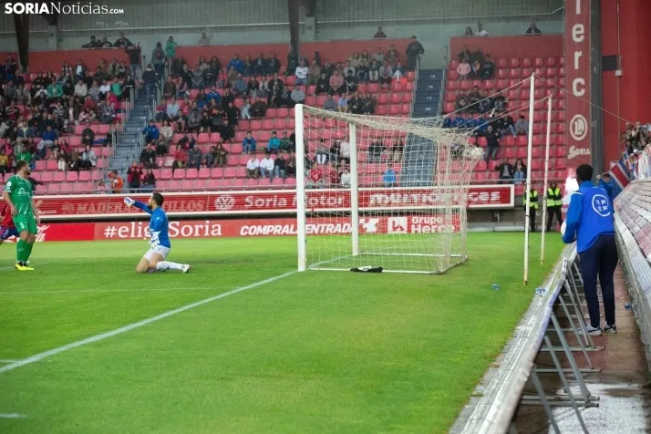 El Numancia desciende a 2RFEF