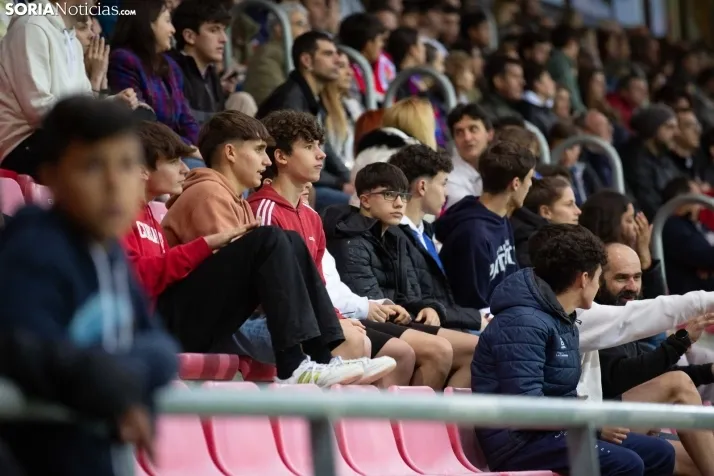 El Numancia desciende a 2RFEF