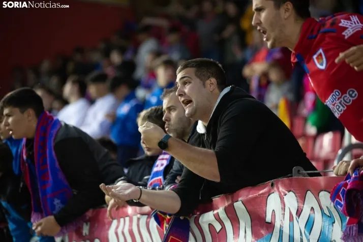 El Numancia desciende a 2RFEF