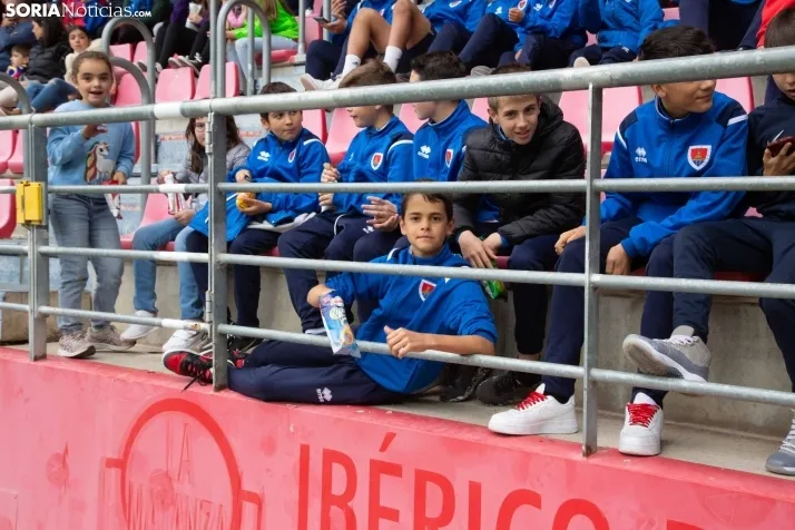El Numancia desciende a 2RFEF