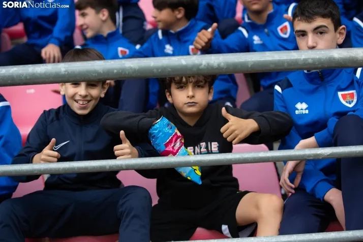 El Numancia desciende a 2RFEF
