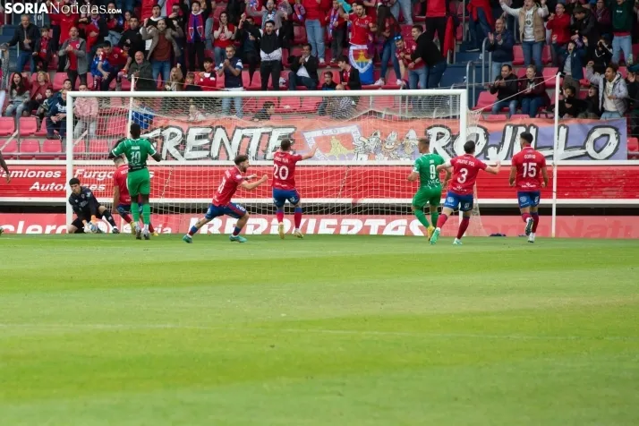 El Numancia desciende a 2RFEF