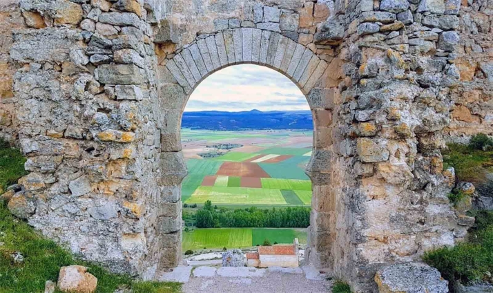 Hispania Nostra aplaude la desestimación de la granja de porcino en el entorno de Gormaz