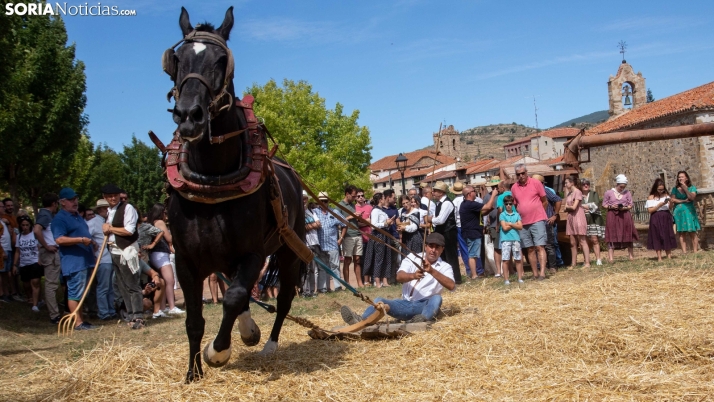 Castilla y León destina 460.000 euros a la organización de sus ferias comerciales