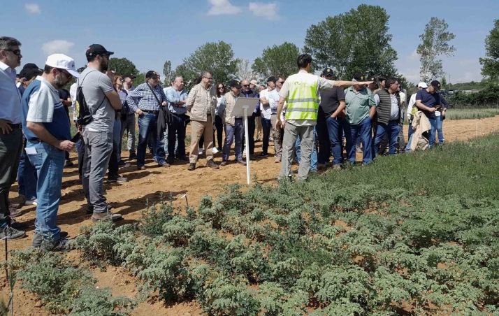 El Itacyl organiza una jornada para dar a conocer sus campos de ensayo de cultivos herbáceos extensivos