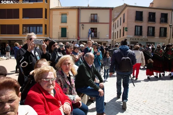 Zarrones en Almazán 2023