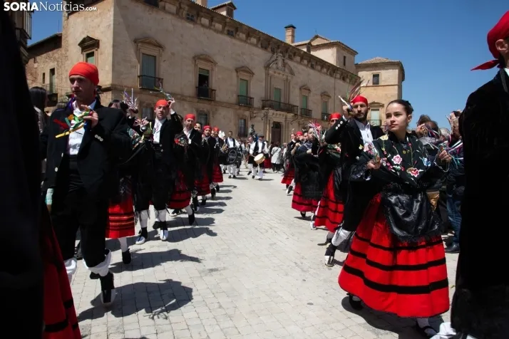 Zarrones en Almazán 2023