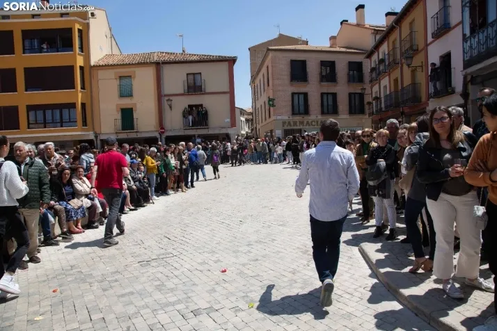Zarrones en Almazán 2023