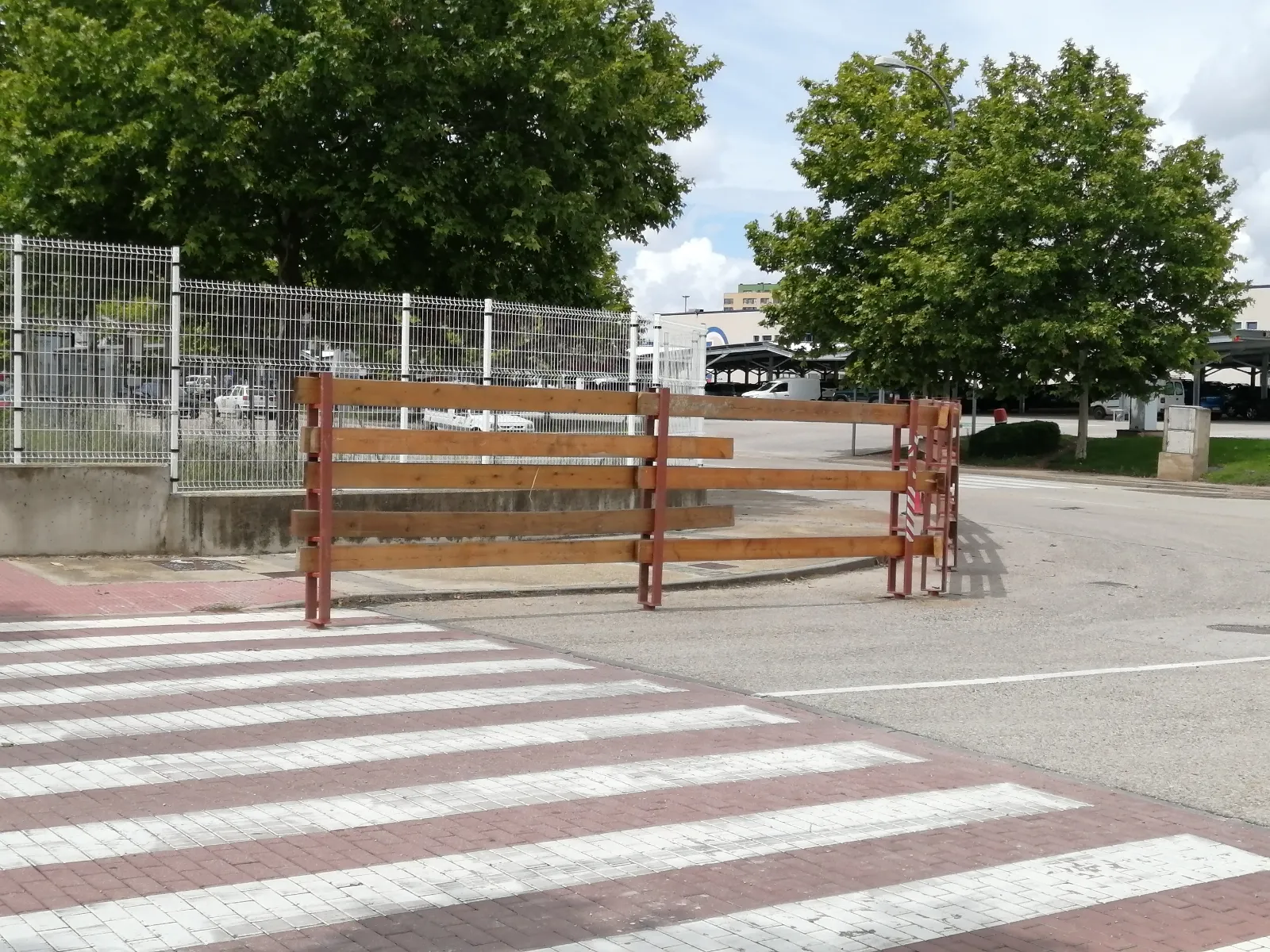 Foto 8 - En im&aacute;genes: La Saca comienza a abrirse paso por Soria