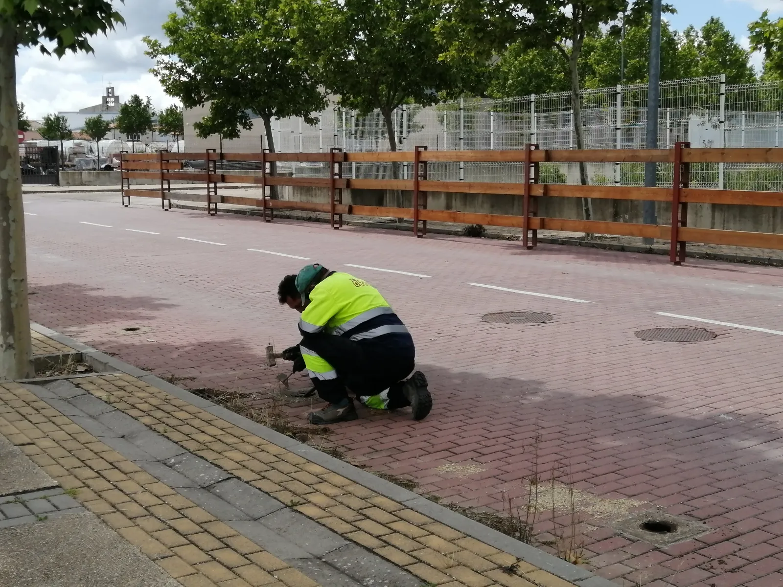 Foto 9 - En im&aacute;genes: La Saca comienza a abrirse paso por Soria