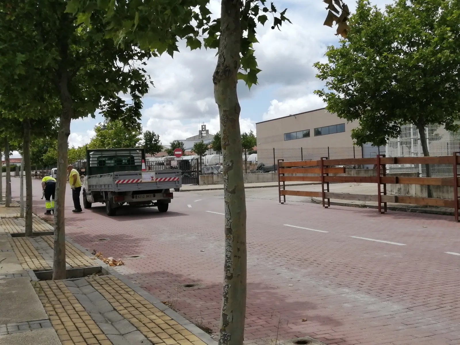 Foto 10 - En im&aacute;genes: La Saca comienza a abrirse paso por Soria