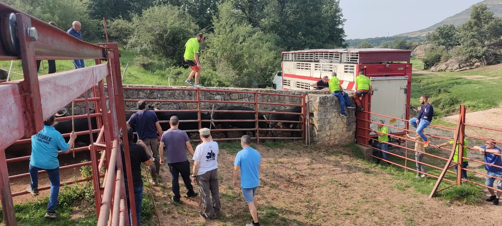 Foto 2 - Fotos y v&iacute;deo: Los novillos listos para La Saca... en el corral de abajo