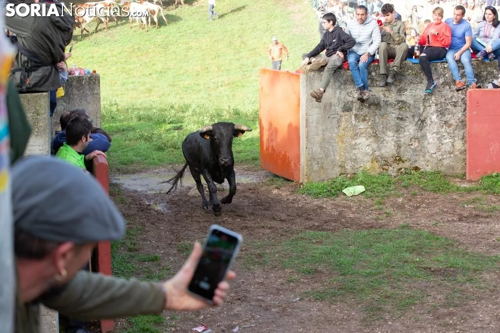 Imagen del 'Lavalengüillas' de esta mañana. /María Ferrer