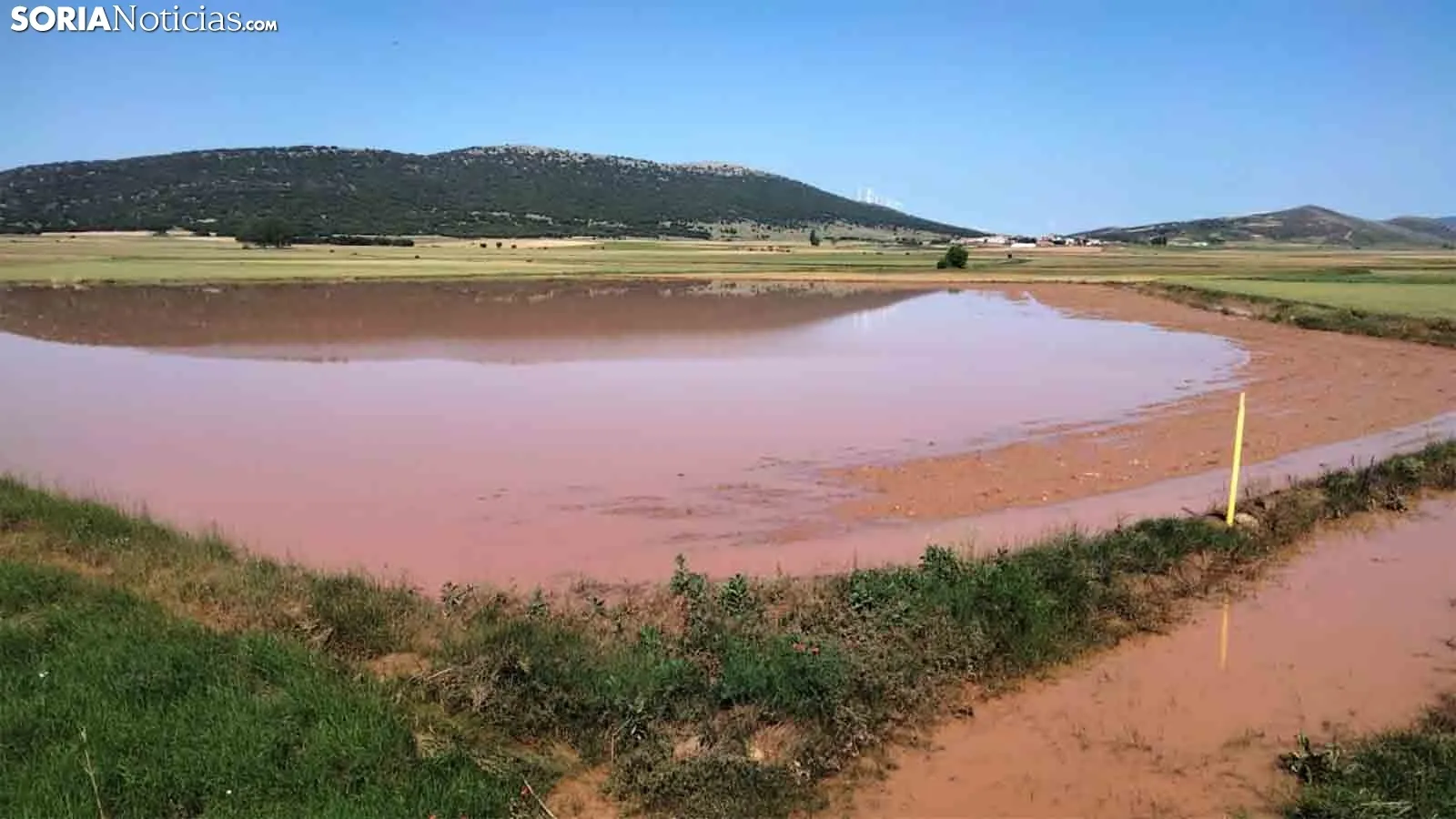 Una imagen de los campos angegados. /SN