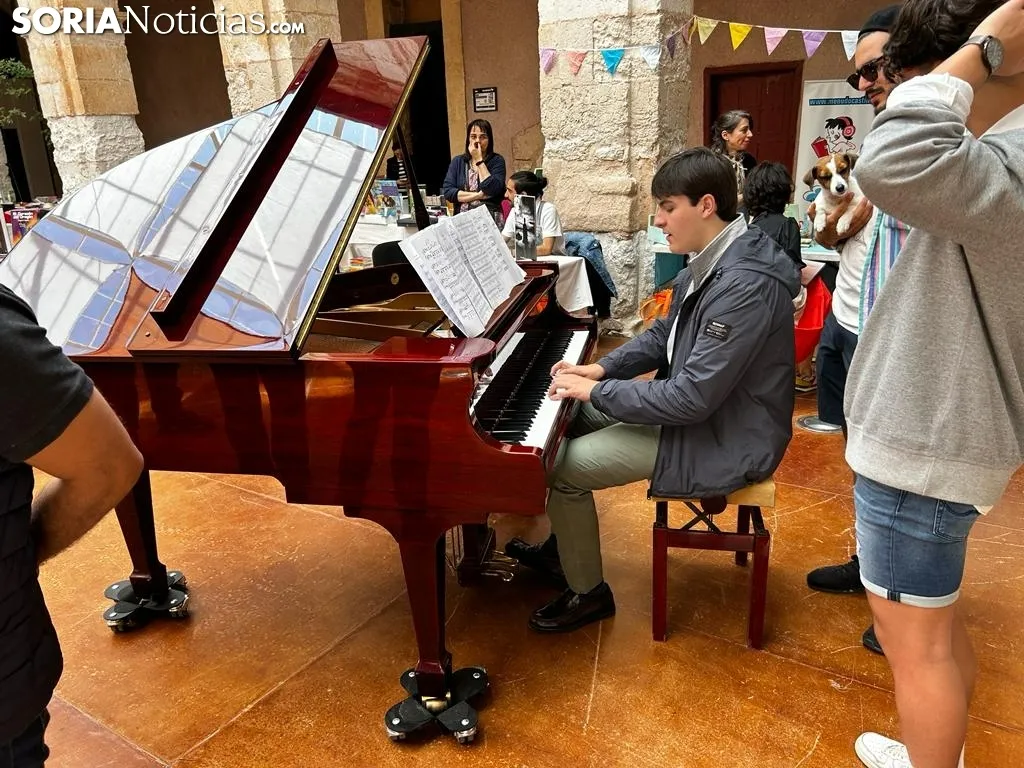 Foto 2 - Gran acogida en la I Feria del Libro de Medinaceli 