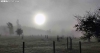 La niebla esta mañana de Lavalenguas en Valonsadero, que impregna de humedad el paisaje. /SN