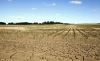 Foto 1 - Ayudas por la sequía: El Ministerio ya estudia las reivindicaciones de agricultores y ganaderos de Castilla y León