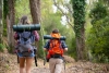 Foto 1 - Los nuevos alérgicos se disparan en Soria: trucos para disfrutar al aire libre este verano