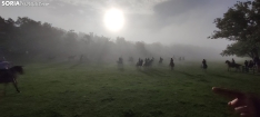 Foto 6 - Mañana del Lavalenguas marcada por la niebla