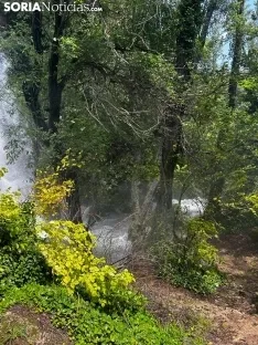 Una imagen de La Toba estos días. /SN