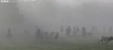 Foto 5 - Ma&ntilde;ana del Lavalenguas marcada por la niebla