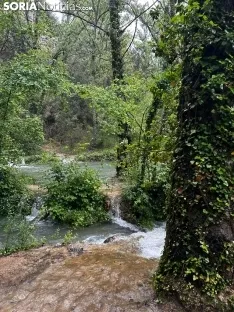 Una imagen de La Toba estos días. /SN