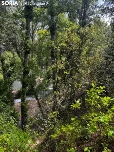 Una imagen de La Toba estos días. /SN