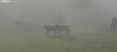 Foto 4 - Ma&ntilde;ana del Lavalenguas marcada por la niebla
