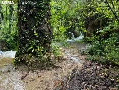 Una imagen de La Toba estos días. /SN