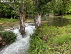 Una imagen de La Toba estos días. /SN