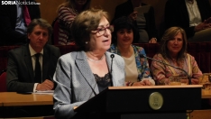 Una imagen del acto este jueves en La Audiencia. /SN