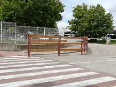 Foto 8 - En im&aacute;genes: La Saca comienza a abrirse paso por Soria