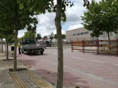 Foto 10 - En im&aacute;genes: La Saca comienza a abrirse paso por Soria