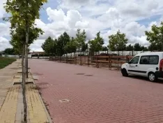 Foto 15 - En im&aacute;genes: La Saca comienza a abrirse paso por Soria