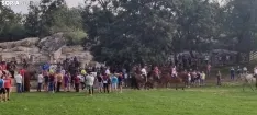 Foto 19 - Fotos y v&iacute;deo: Los novillos listos para La Saca... en el corral de abajo