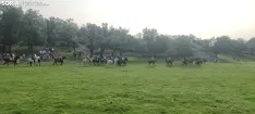 Foto 22 - Fotos y v&iacute;deo: Los novillos listos para La Saca... en el corral de abajo