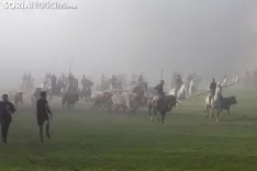 Imagen del 'Lavalengüillas' de esta mañana. /María Ferrer